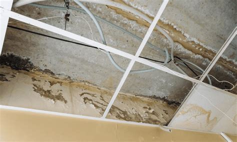 slab leak detection walker county|The Homeowner's Guide to Slab Leaks .
